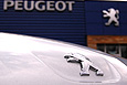 Premiera Peugeota 508 we włocławskim salonie Mares - 18