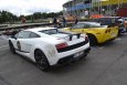 Na toruńskim torze kartingowym Racing Arena zaparkowały eksluzywne auta spod znaku Mercedesa, Porsche, Lamborghini... - 16