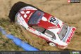 Radek Schenker zdobywa mistrzowski tytuł w rallycrossie modeli RC Div I. - 154