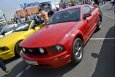 Zlot Mustangów i BMW Toruń 2015 - 30